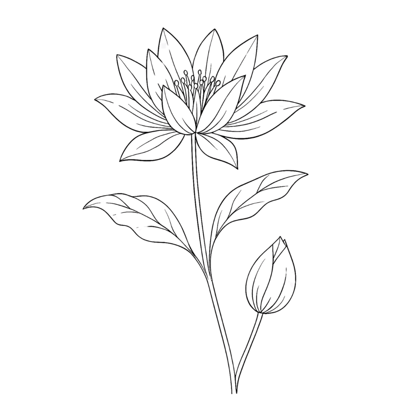 flower
